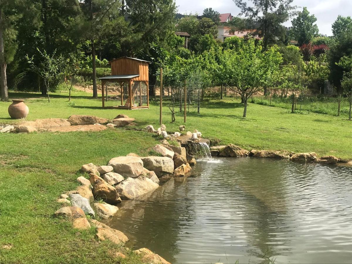 Villa Quinta Da Vinha Do Souto Arouca Exterior foto