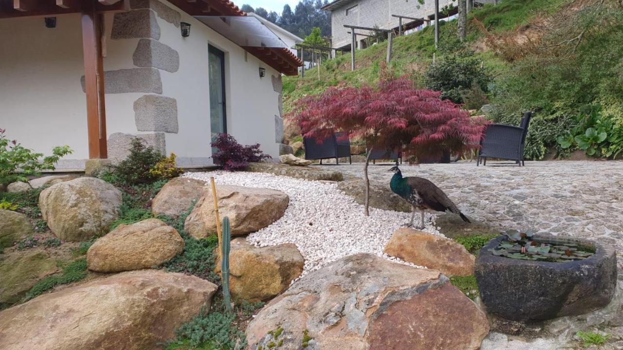Villa Quinta Da Vinha Do Souto Arouca Exterior foto