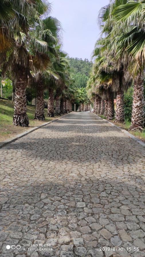 Villa Quinta Da Vinha Do Souto Arouca Exterior foto